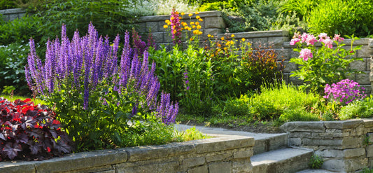 Elevate Your Outdoor Living: The Art of Garden Design and Outdoor Living Spaces
