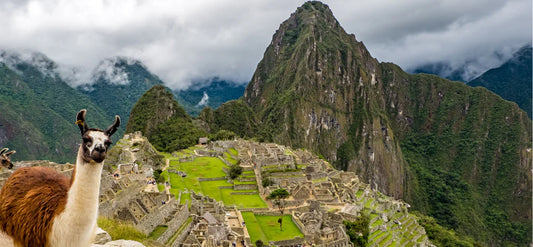 Exploring the Majesty: Top Experiences in Machu Picchu Peru