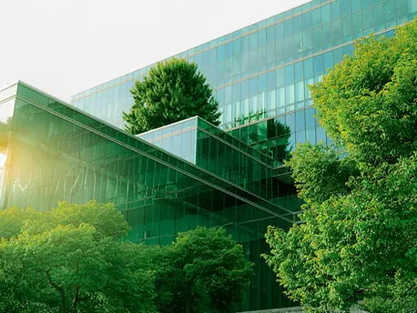 Sustainable Living: Eco-Friendly Home Goods for a Greener Home