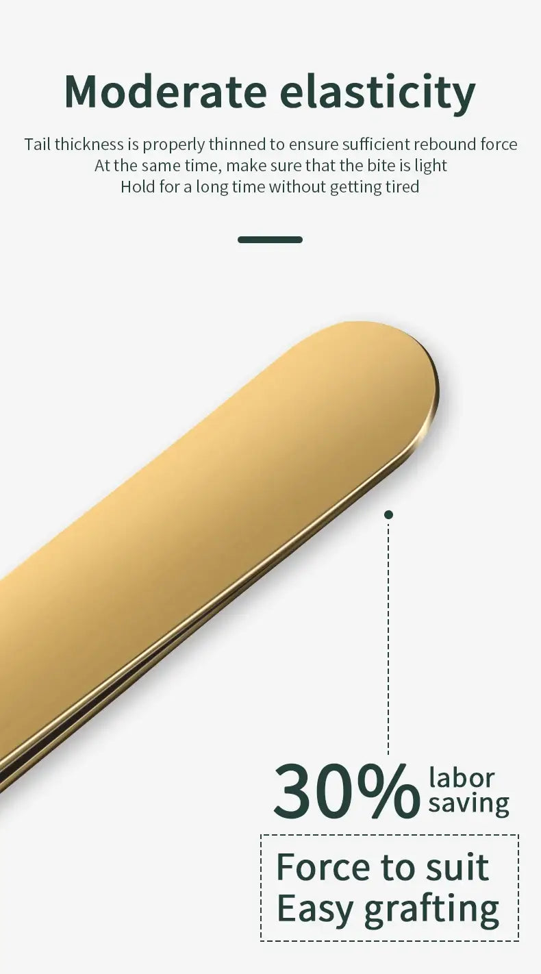 Anti-Static Straight Eyelash Extension Tweezers – Precision Lash & Brow Tool (1 Piece)